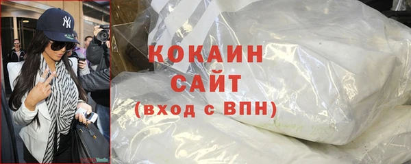 молекула духа Няндома