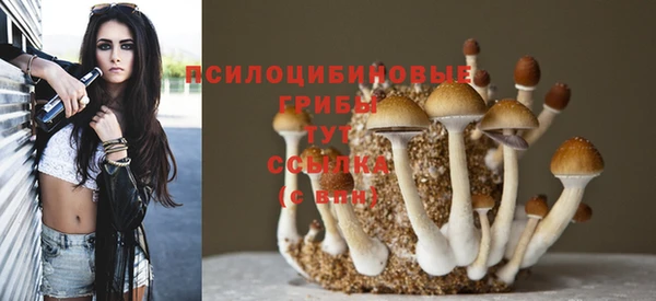кокс Нягань