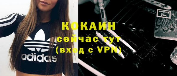 молекула духа Няндома