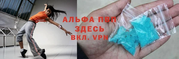 молекула духа Няндома