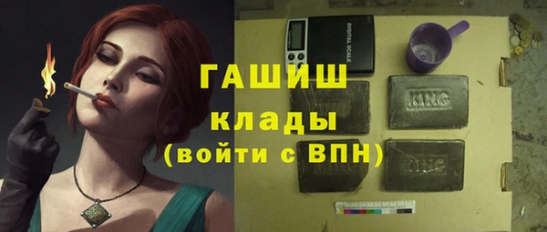 молекула духа Няндома