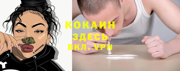 молекула духа Няндома