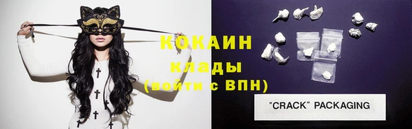 молекула духа Няндома