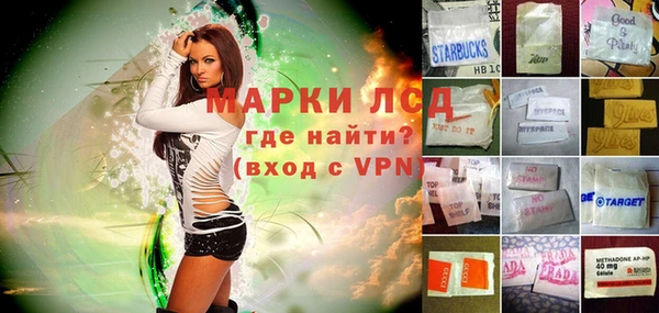 молекула духа Няндома