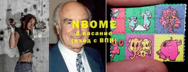 молекула духа Няндома