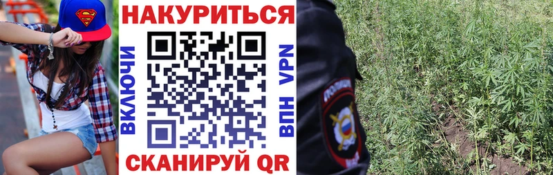 Купить  Апатиты  МАРИХУАНА MAZAR 